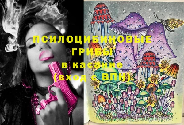 бутират Мегион
