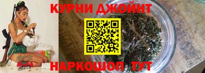 прущие грибы Аргун