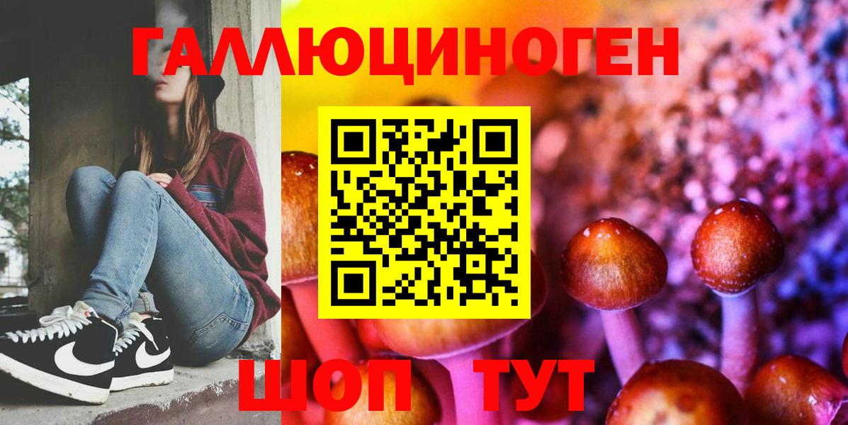 Псилоцибиновые грибы Psilocybe  Братск 