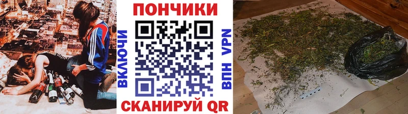 наркотики  Братск  Шишки марихуана Ganja 